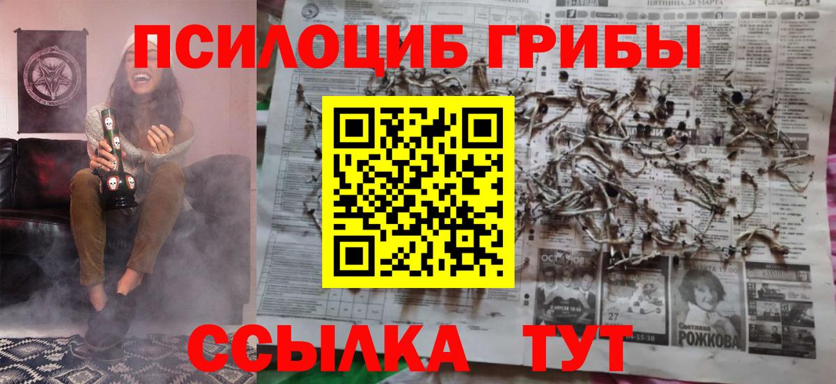Галлюциногенные грибы Psilocybine cubensis Туапсе
