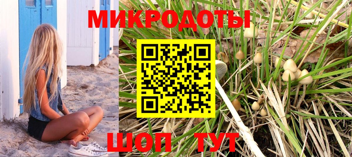 Псилоцибиновые грибы GOLDEN TEACHER  Вход с VPN  Псилоцибиновые грибы мухоморы  Туапсе 
